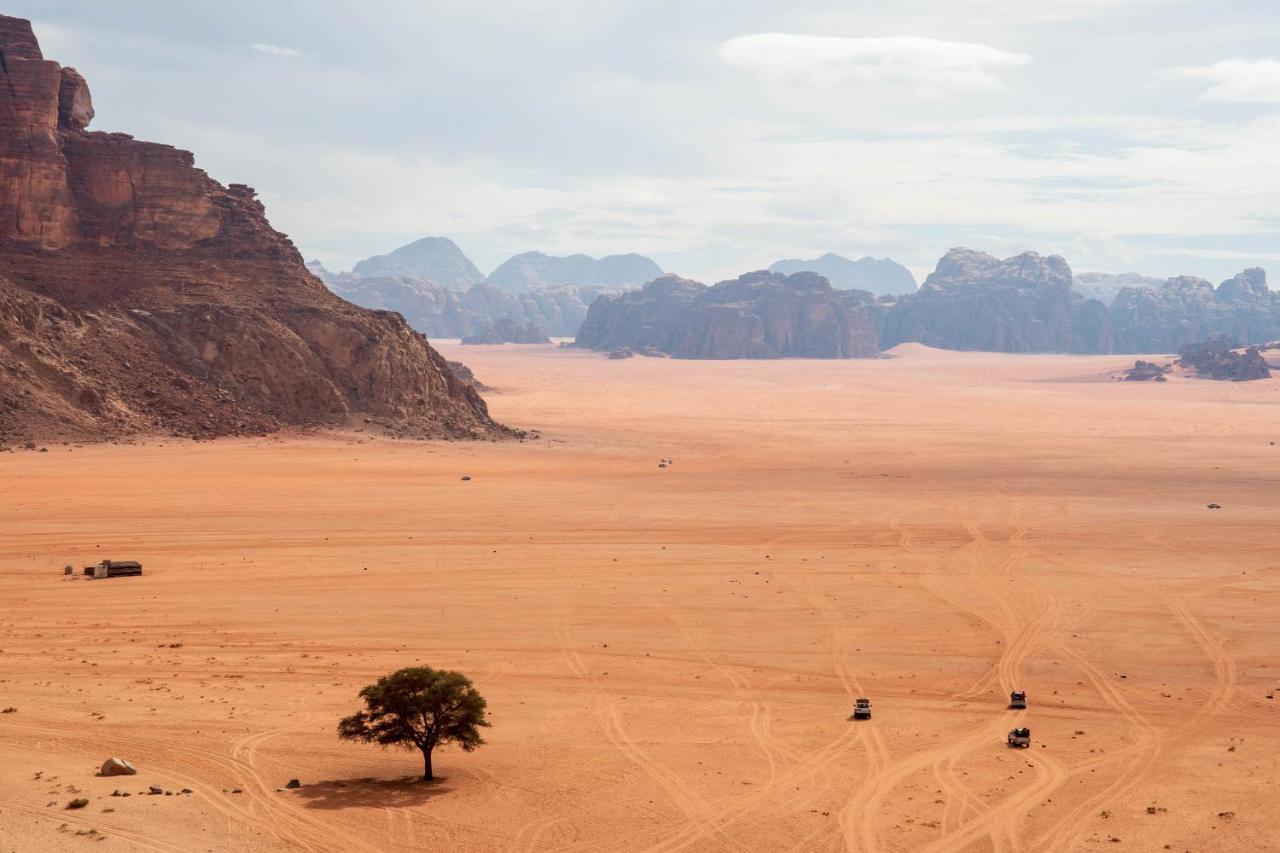 Wadi Rum Nights Εξωτερικό φωτογραφία
