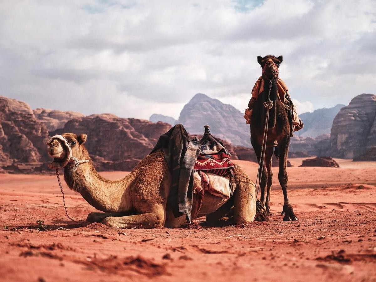 Wadi Rum Nights Εξωτερικό φωτογραφία