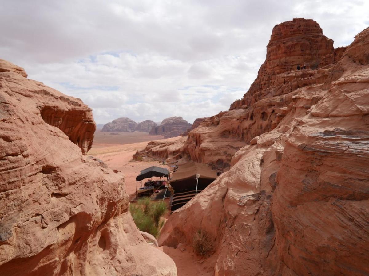 Wadi Rum Nights Εξωτερικό φωτογραφία