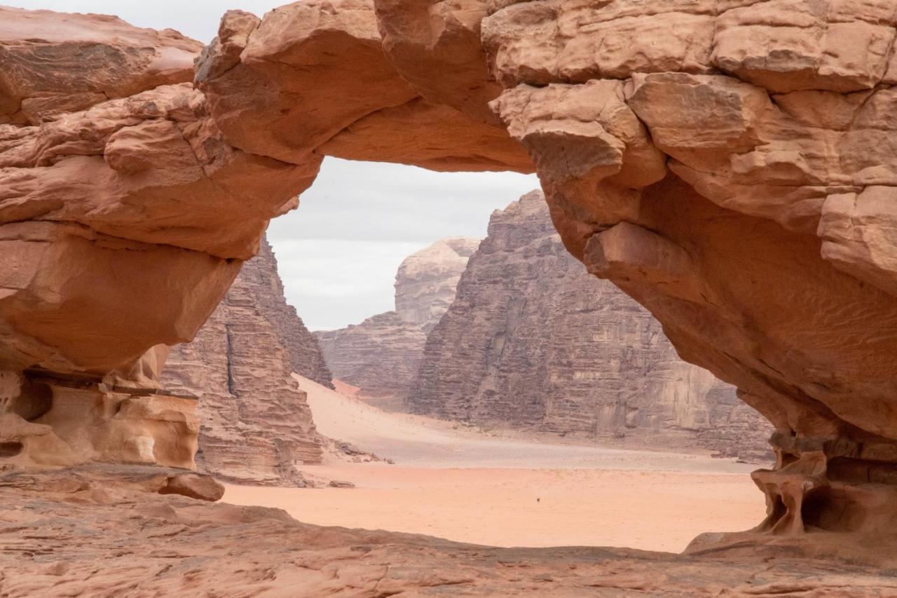 Wadi Rum Nights Εξωτερικό φωτογραφία