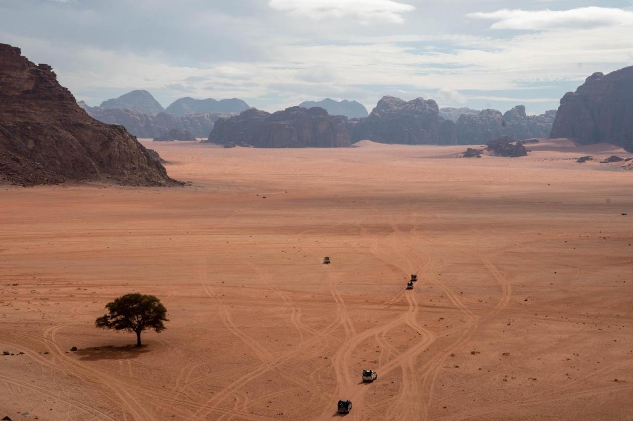 Wadi Rum Nights Εξωτερικό φωτογραφία
