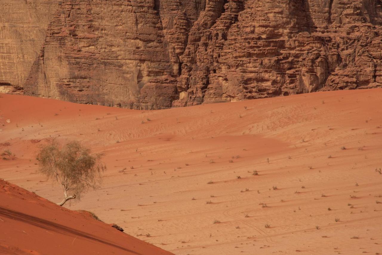 Wadi Rum Nights Εξωτερικό φωτογραφία