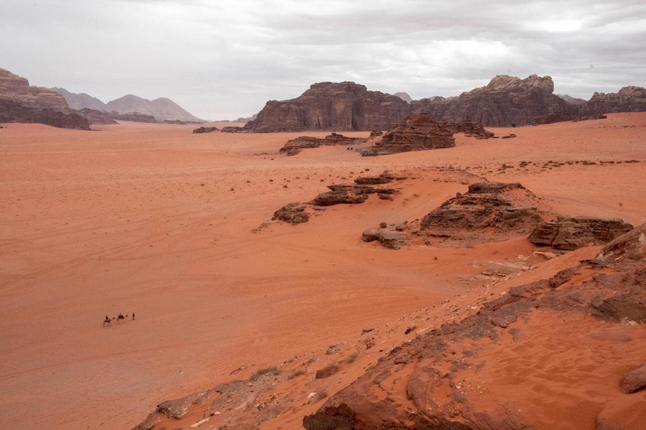 Wadi Rum Nights Εξωτερικό φωτογραφία