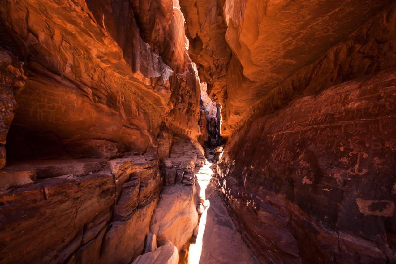 Wadi Rum Nights Εξωτερικό φωτογραφία